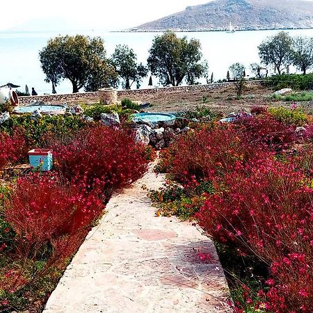 Villa Romanza Beach Villa Chalki Town ภายนอก รูปภาพ